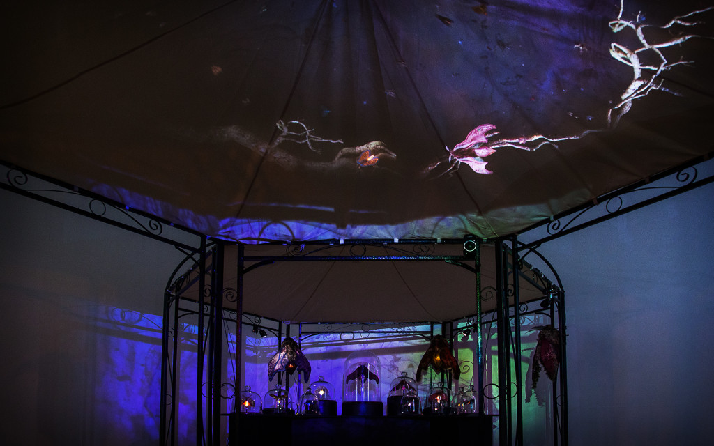 Photograph of The Illuminarium projection and bell jars in the Queen's Hall Hexham